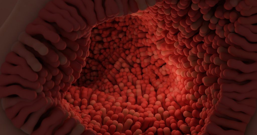 intestinal