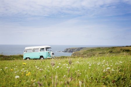 VW-BUS na łące